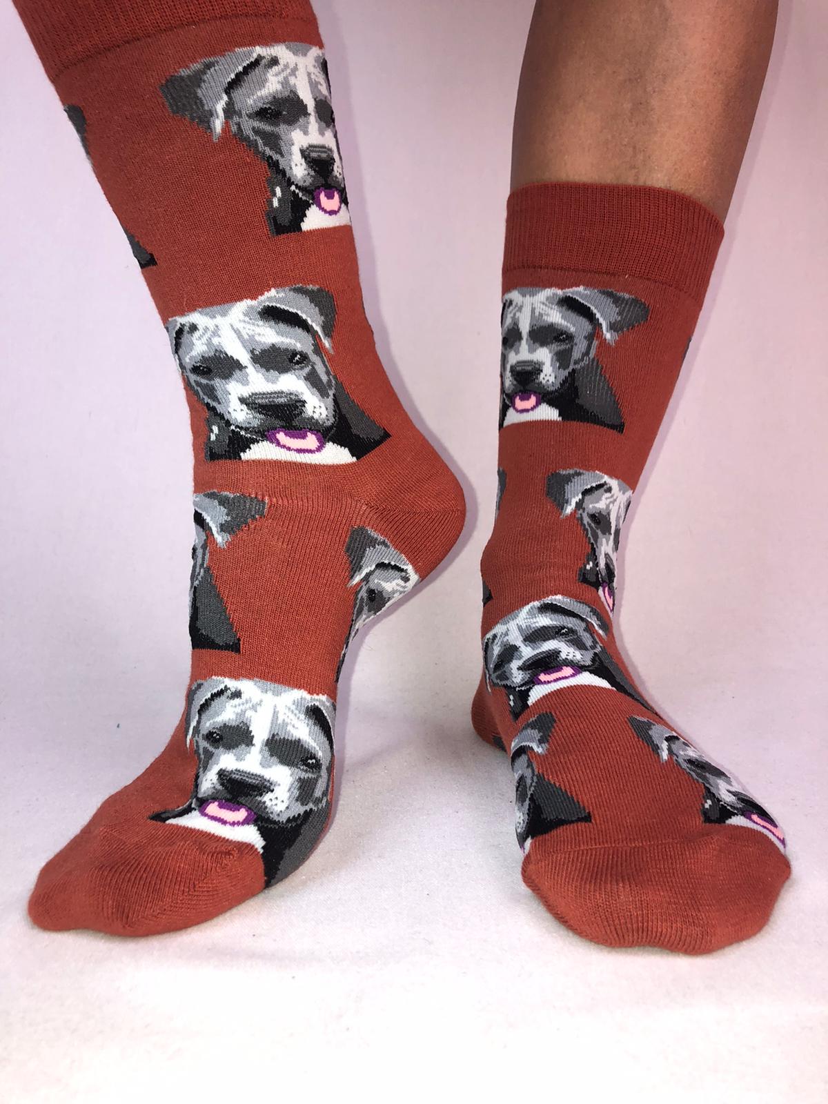 Calcetines Cool Brown Dog