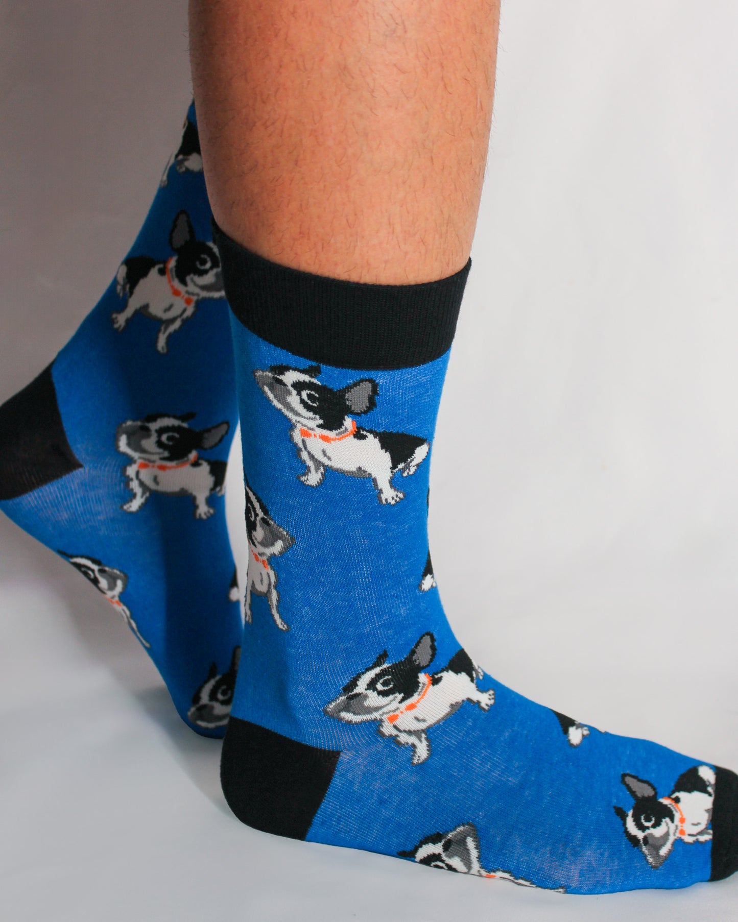 Calcetines Cool  BULDOG AZUL