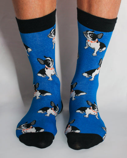 Calcetines Cool  BULDOG AZUL