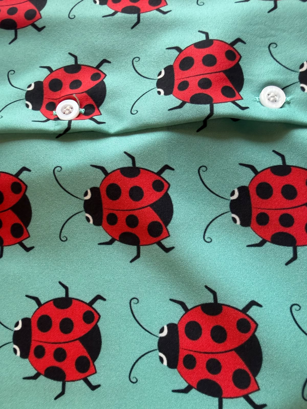Camisa Funny Mariquita