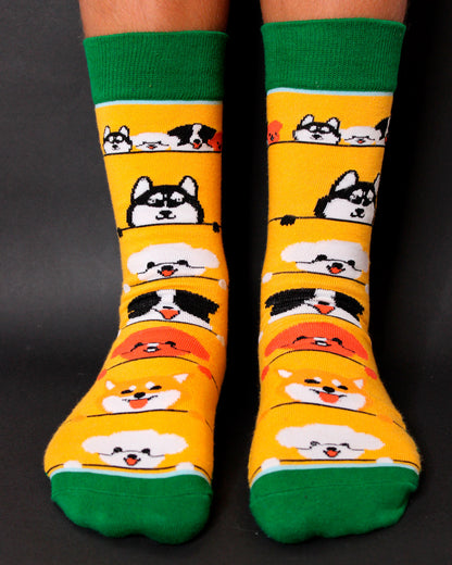 Calcetines Cool Mascotas