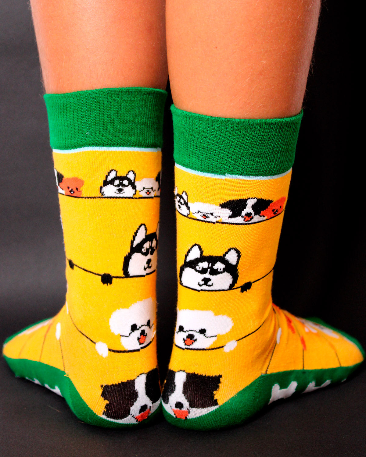 Calcetines Cool Mascotas